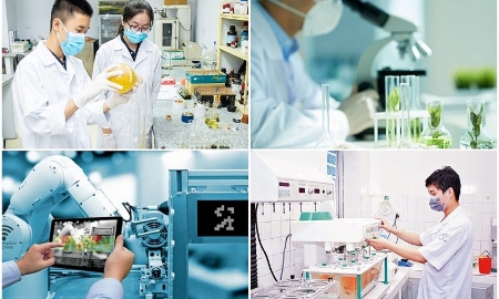TP.Hồ Chí Minh sẽ thí điểm chính sách đặc thù với AI, bán dẫn, thương mại điện tử, công nghệ tài chính