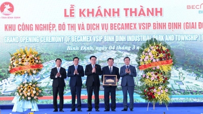 Becamex VSIP Binh Dinh IP opens