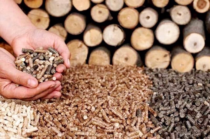 Investors propose building of wood pellet plant in Quang Tri