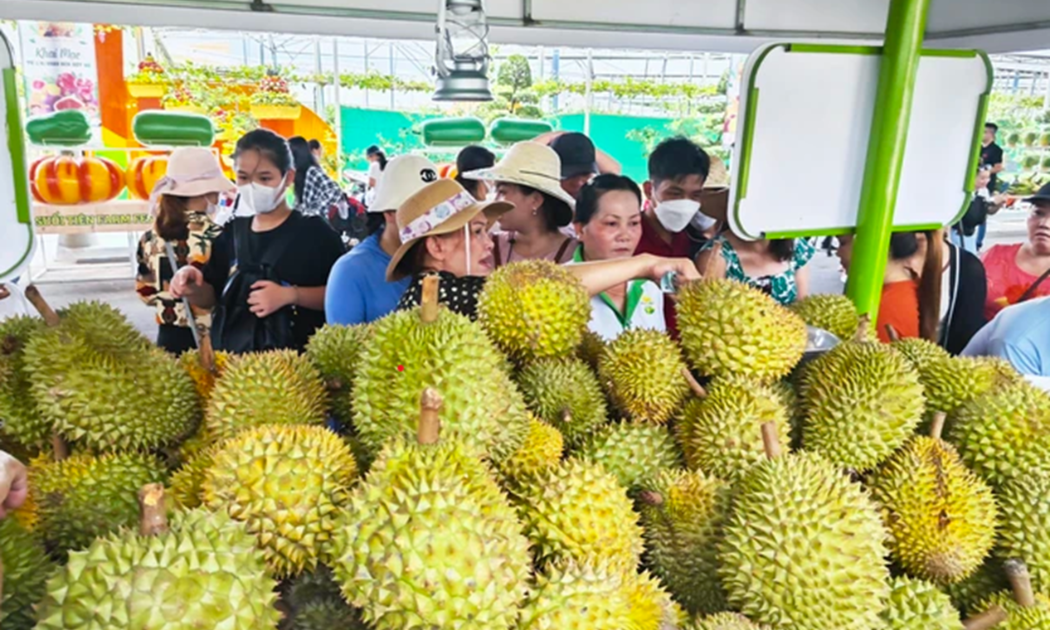 Giá sầu riêng ngày càng tăng cao do thị trường Trung Quốc đang 