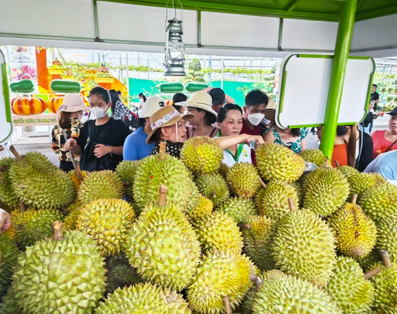 Giá sầu riêng ngày càng tăng cao do thị trường Trung Quốc đang "hút hàng".