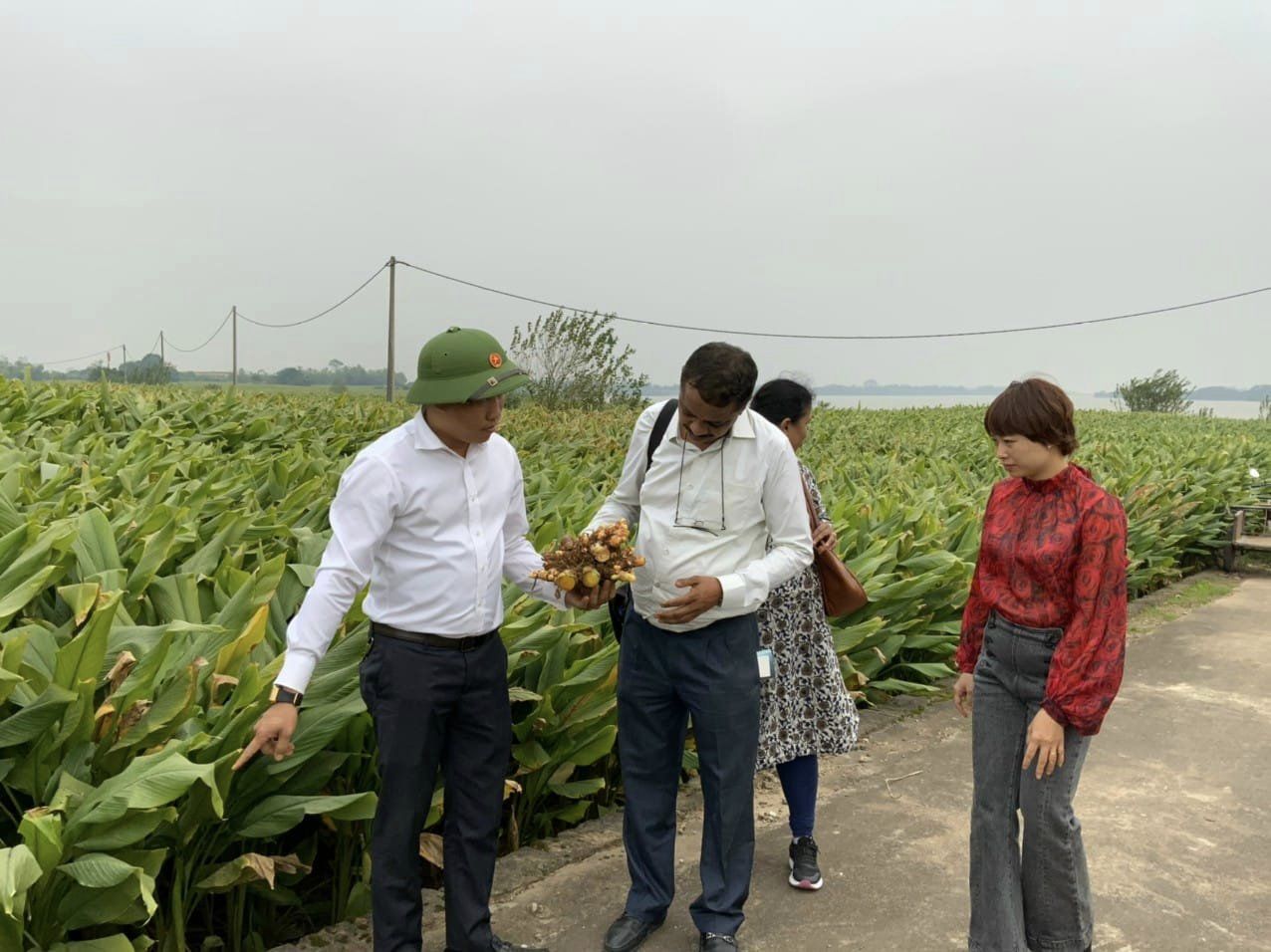 Việc x&acirc;y dựng chuỗi li&ecirc;n kết g&oacute;p phần n&acirc;ng cao &yacute; thức, vai tr&ograve;, tr&aacute;ch nhiệm của c&aacute;c hộ d&acirc;n.