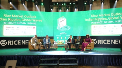 Rice exports setting records and continuing upwards