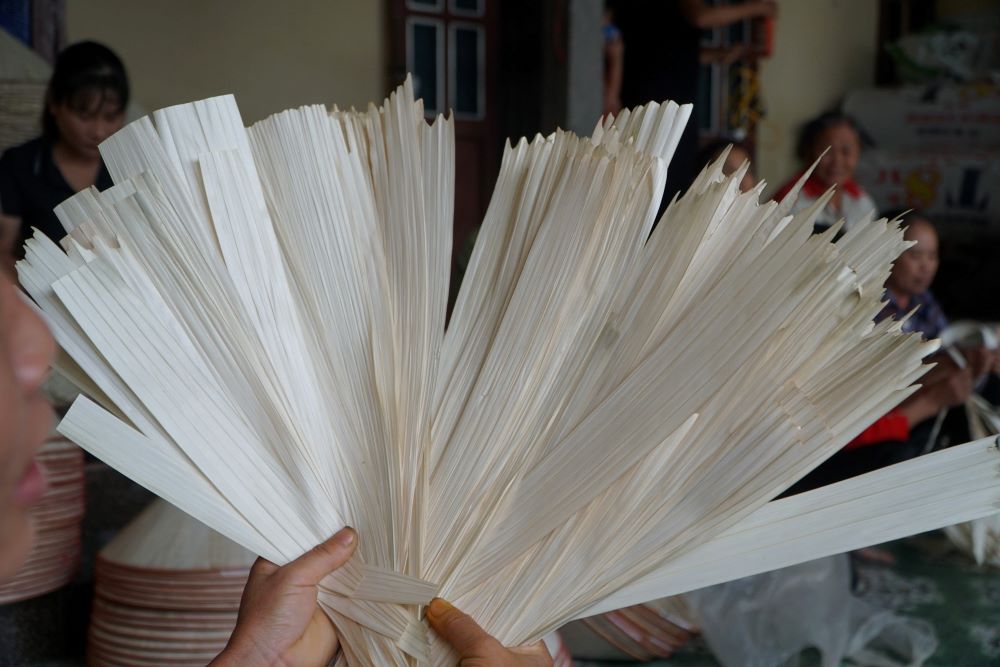 Những chiếc lá sau khi được là nóng