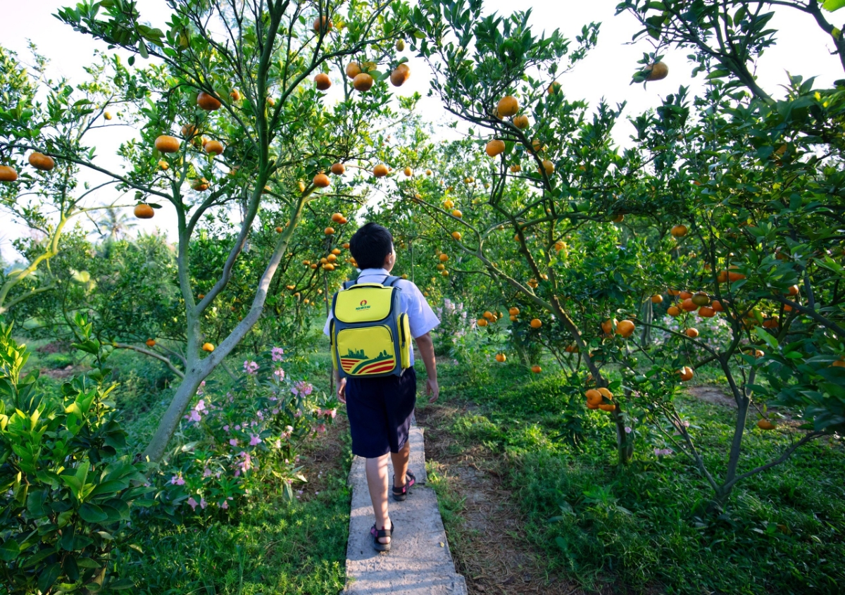 Học bổng Hạt ngọc M&ugrave;a v&agrave;ng tiếp sức c&ugrave;ng c&aacute;c em đến trường, n&acirc;ng cao tri thức..