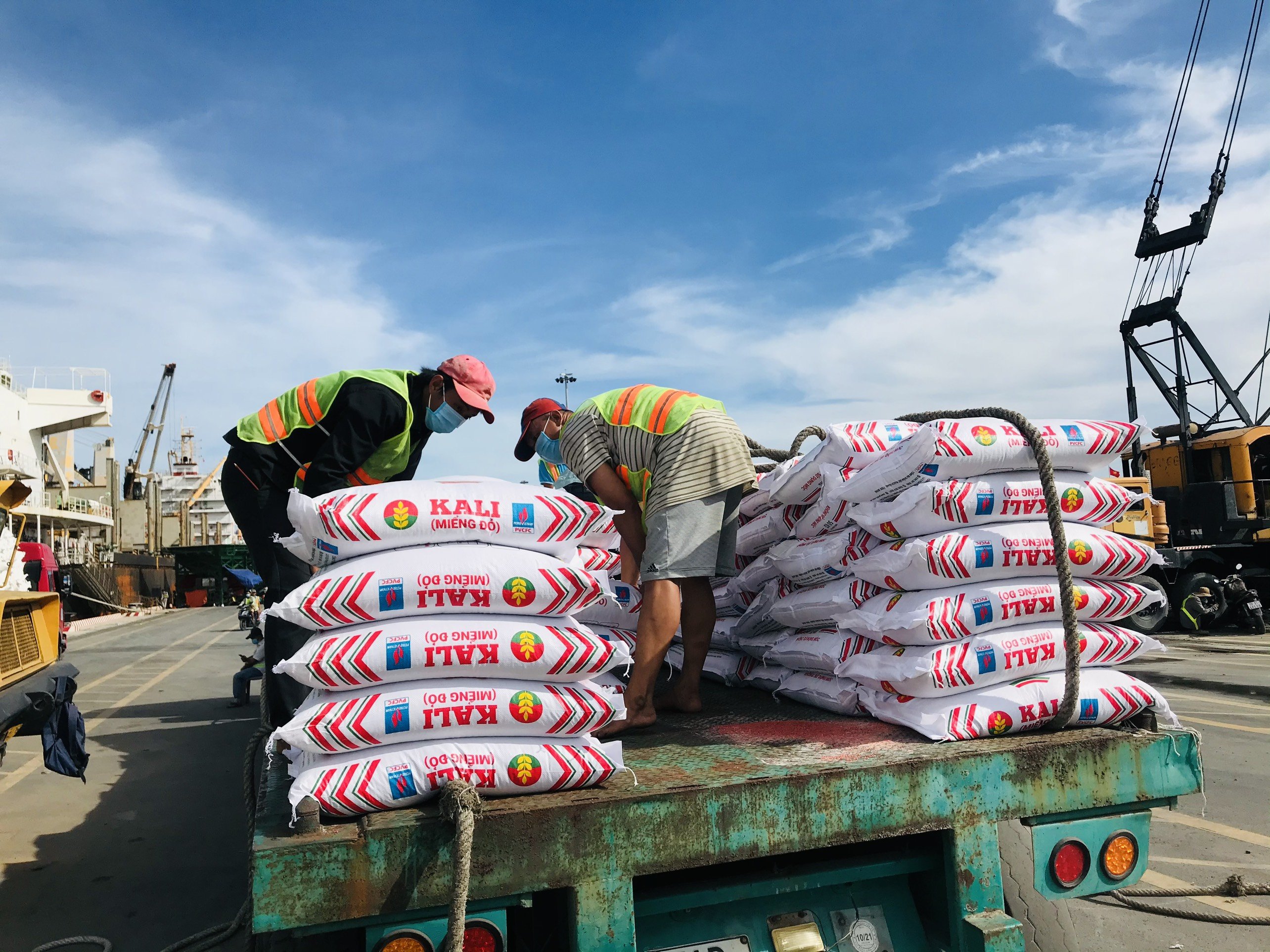 Sản phẩm của Phân bón Cà Mau hiện đang có mặt trên 20 quốc gia.