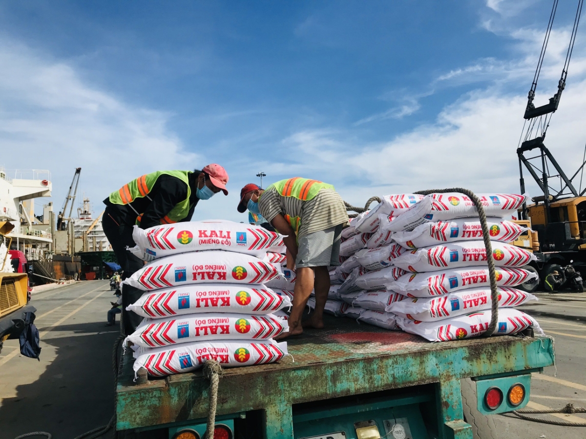 Sản phẩm của Ph&acirc;n b&oacute;n C&agrave; Mau hiện đang c&oacute; mặt tr&ecirc;n 20 quốc gia.