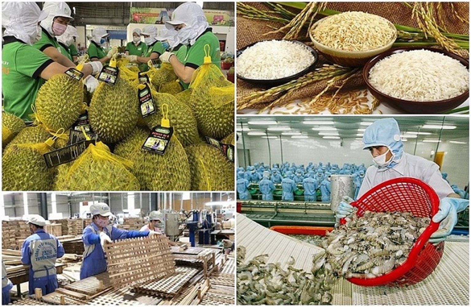 Kim ngạch xuất khẩu nông lâm thủy sản 2 tháng tăng trên 50% so với cùng kỳ năm trước.