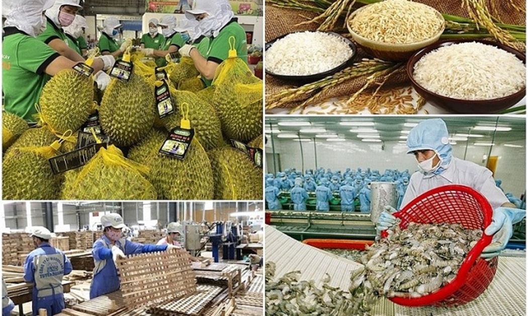 Kim ngạch xuất khẩu nông lâm thủy sản 2 tháng tăng trên 50% so với cùng kỳ năm trước.