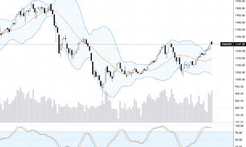 Xu thế dòng tiền: Bước vào nhịp điều chỉnh, dòng tiền dồi dào sẽ là lực đỡ