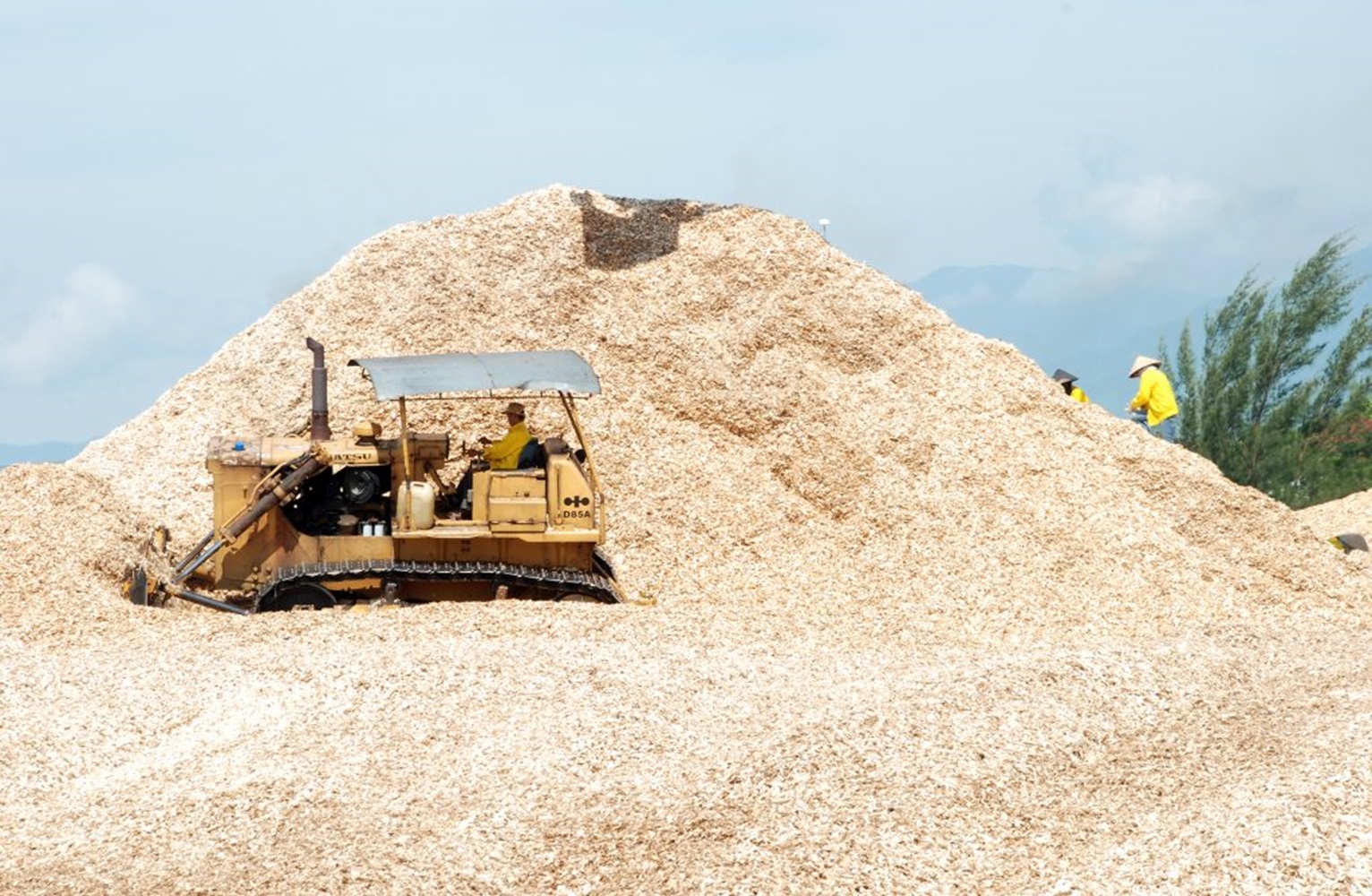 Dăm gỗ xuất khẩu tại Công ty Hào Hưng (Quảng Ninh). 