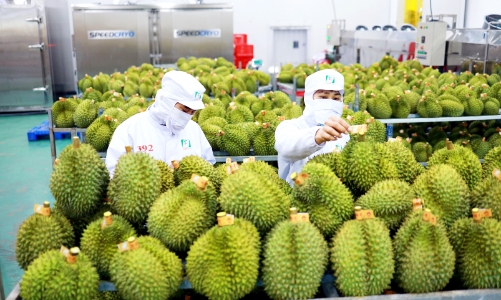 Việt Nam trở thành quốc gia xuất khẩu rau quả lớn thứ 2 sang Trung Quốc