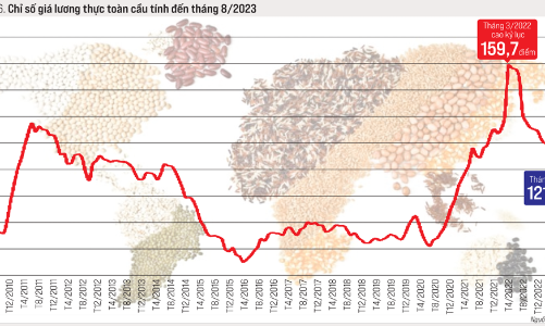 Thương mại toàn cầu năm 2023 và triển vọng năm 2024 