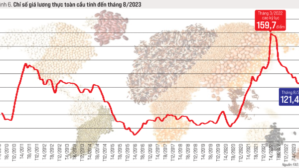 Thương mại toàn cầu năm 2023 và triển vọng năm 2024 