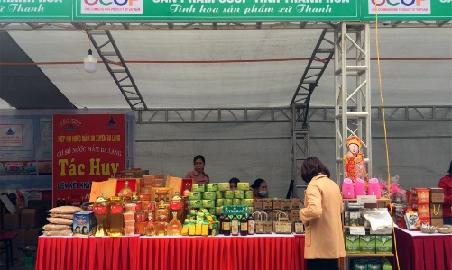 Thanh Hóa: Công nhận 10 sản phẩm công nghiệp nông thôn tiêu biểu