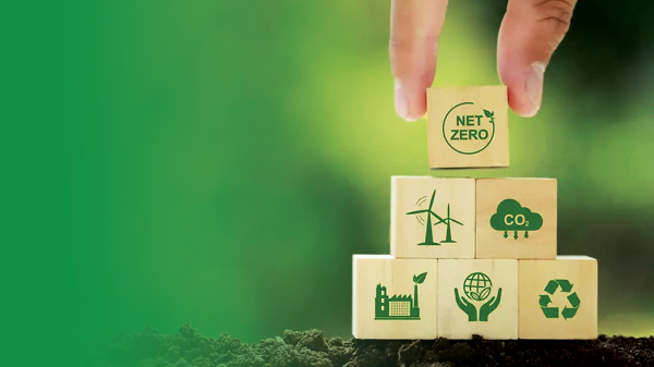 Lựa chọn quy mô phù hợp để vận hành thí điểm thị trường carbon