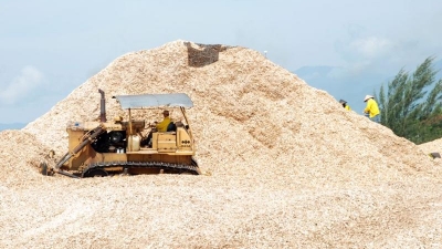 2023 wood chip and pellet exports earn nearly $3bln