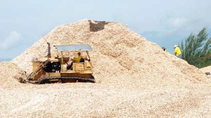 2023 wood chip and pellet exports earn nearly $3bln