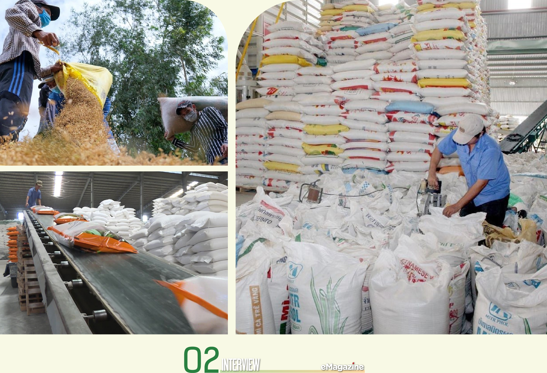 Để gạo Việt Nam duy trì vị trí số 1 tại thị trường Philippines - Ảnh 3