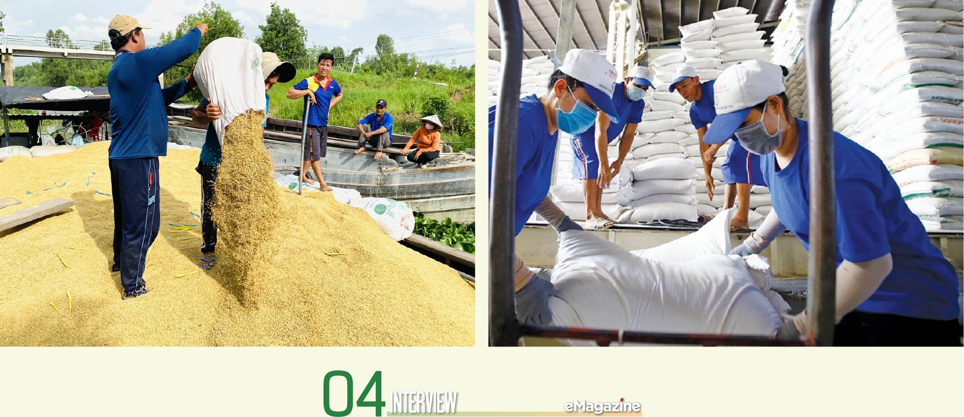 Để gạo Việt Nam duy trì vị trí số 1 tại thị trường Philippines - Ảnh 5