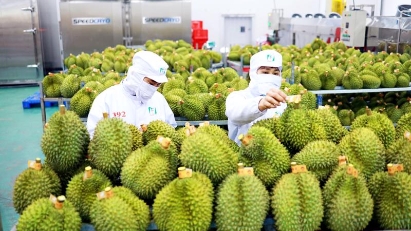Vietnam becomes second-largest fruit & vegetable exporter to China