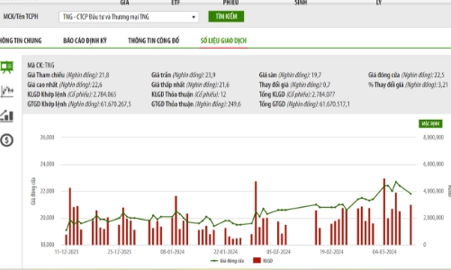 Lãnh đạo TNG tiếp tục đăng ký bán ra lượng lớn cổ phiếu