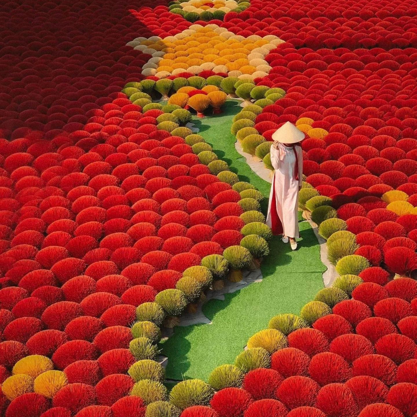 M&ocirc; h&igrave;nh văn h&oacute;a ẩm thực V&acirc;n Đ&igrave;nh - L&agrave;ng nghề sản xuất hương x&atilde; Quảng Ph&uacute; Cầu đang được l&ecirc;n phương &aacute;n triển khai.