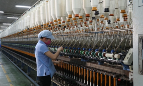 Chủ tịch Vinatex kêu lãi vay vẫn cao, kiến nghị Chính phủ cứu doanh nghiệp sợi