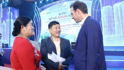 Binh Phuoc actively pursuing investment from European enterprises