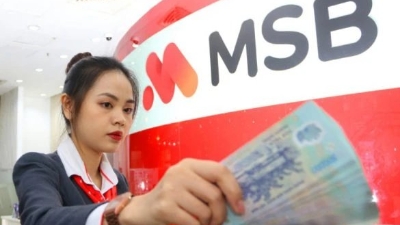 MSB offers $121-mln credit package for green and sustainable projects