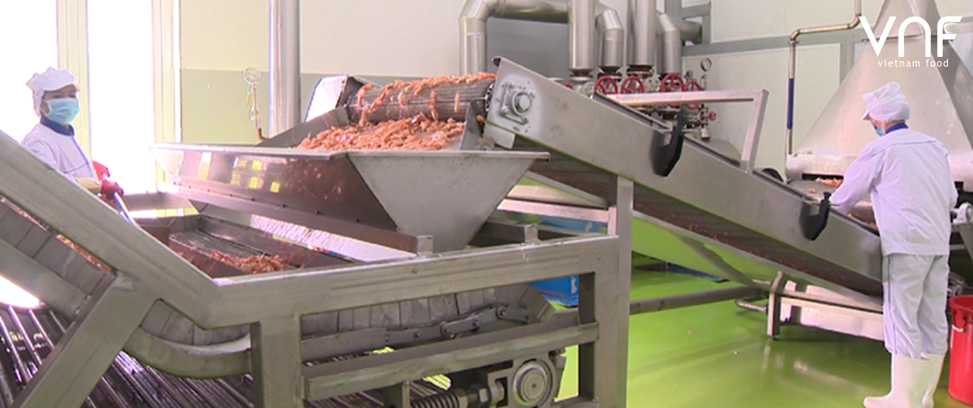 Quy tr&igrave;nh sản xuất nghi&ecirc;m ngặt tại VNF.