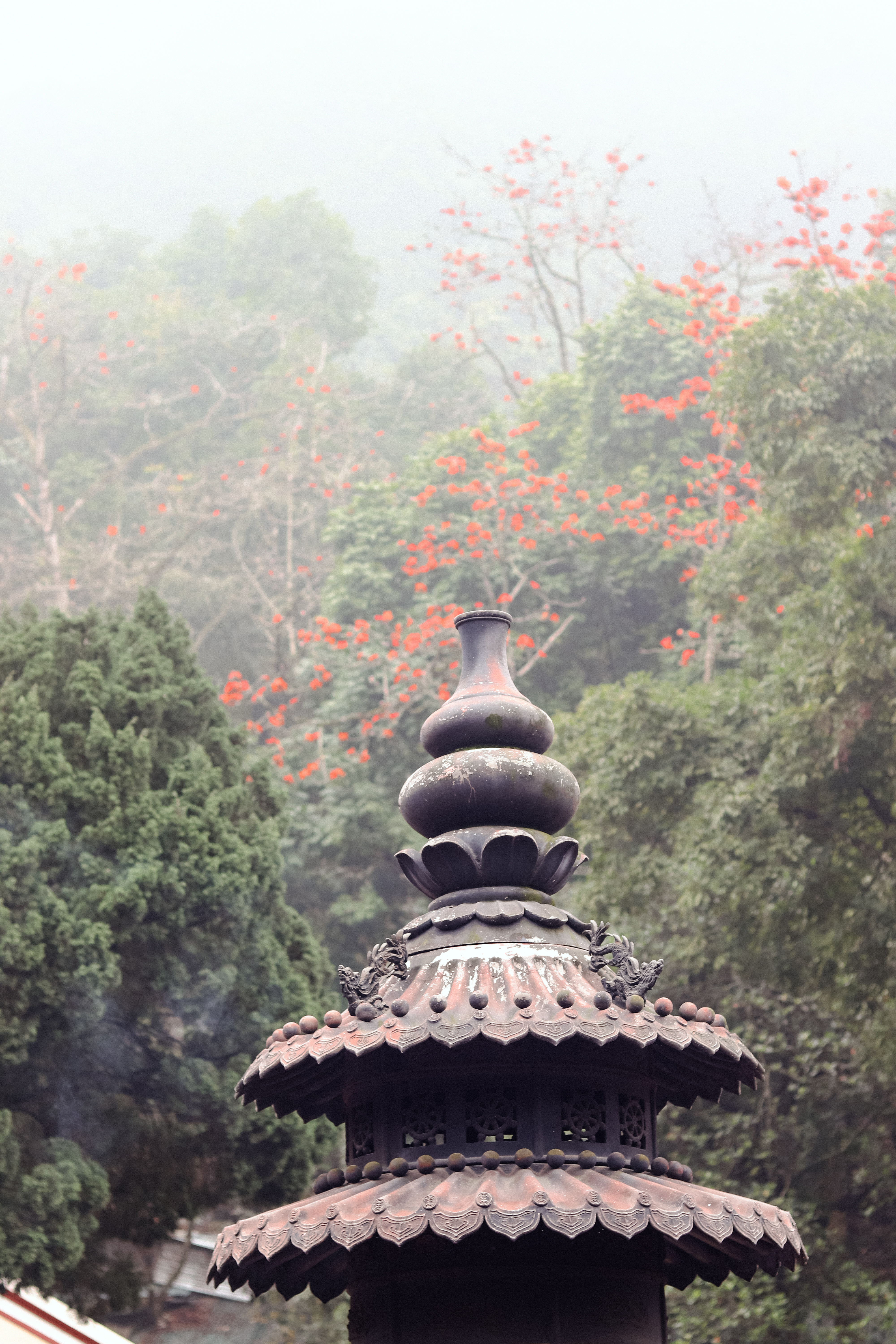 Hoa gạo đỏ rực tạo n&ecirc;n khung cảnh m&ugrave;a xu&acirc;n rực rỡ cho n&uacute;i rừng Hương Sơn.