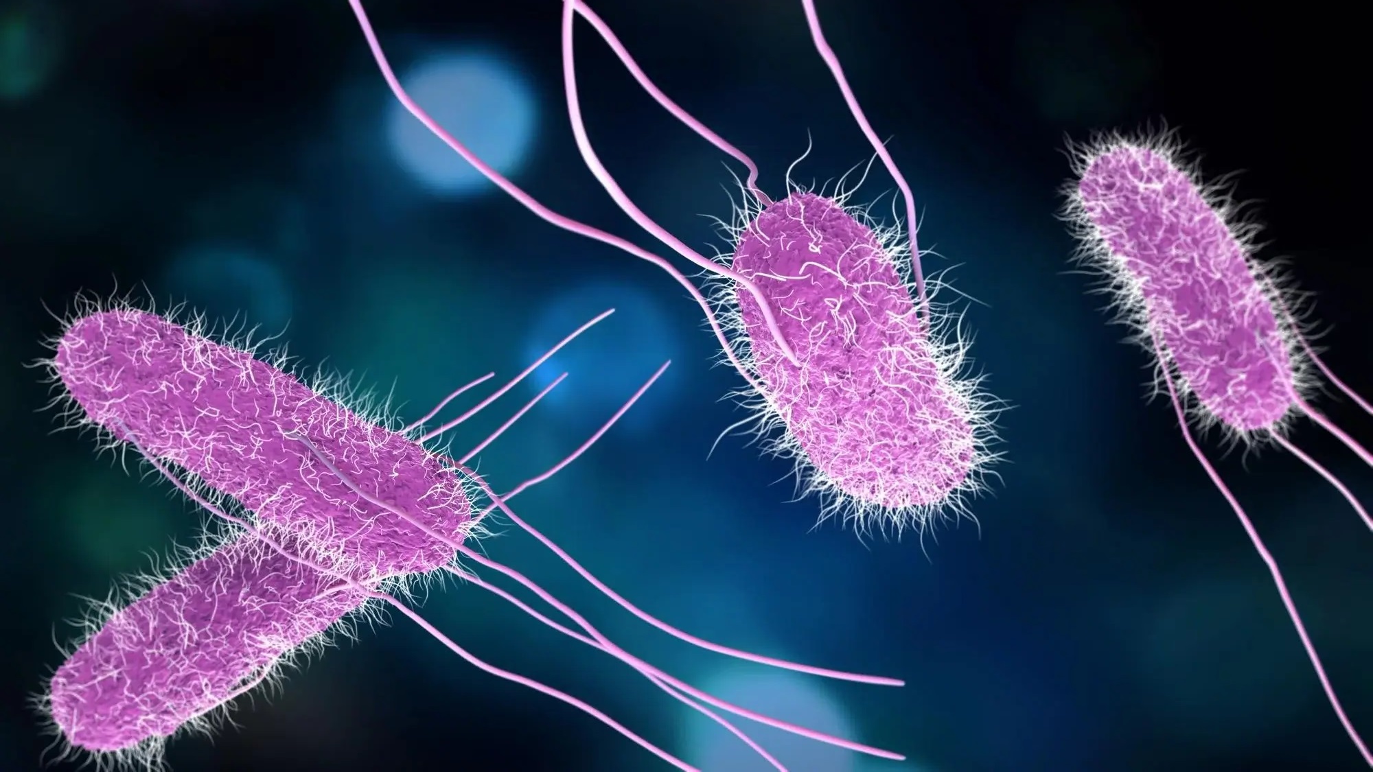 Salmonella là một trong những nguyên nhân hàng đầu gây ra bệnh tiêu chảy trên toàn cầu, trong đó có nhiều vụ ngộ độc quy mô lớn.