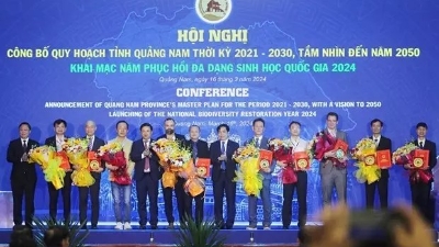 Quang Nam Province Secures $650 Million in Investments for Port, Industrial Projects