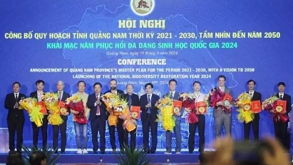 Quang Nam Province Secures $650 Million in Investments for Port, Industrial Projects