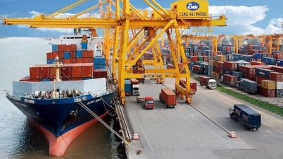 Foreign Shipping Lines Slammed for Inflated Fees on Vietnamese Trade