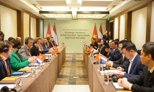 Việt Nam - Hà Lan hợp tác chuyển đổi ngành nông nghiệp bền vững