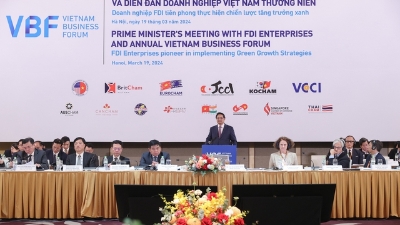 Vietnam Seeks Green Growth Leadership, FDI Firms Pledge Support