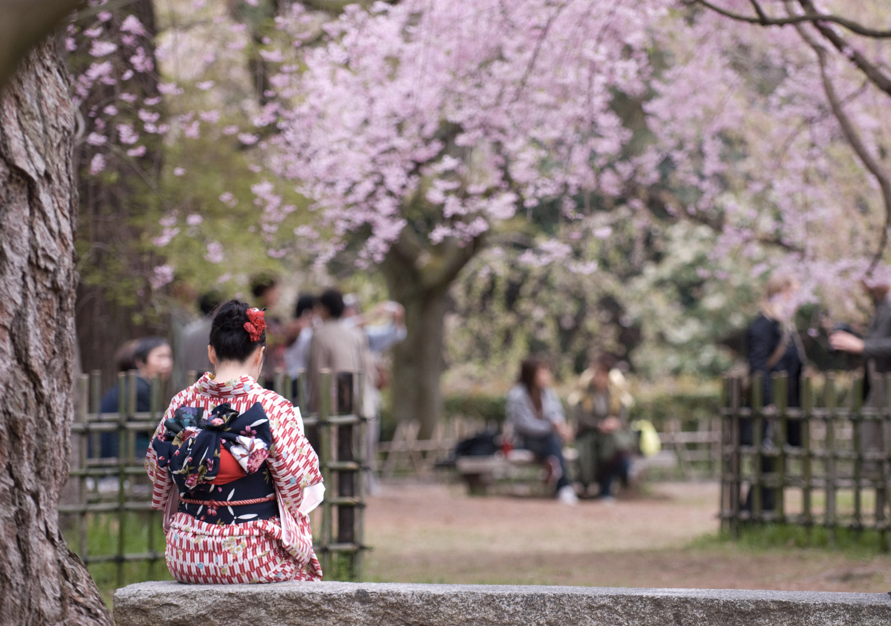 Ảnh: Japan Times