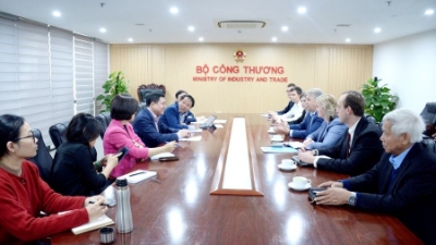 Russian Energy Giant Novatek Eyes Expansion into Vietnam's LNG Market