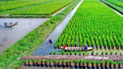 $600 Million in Investment Pledged to Support Sustainable Agriculture in Vietnam's Mekong Delta