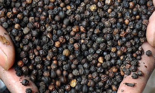 Dệt may, hạt tiêu, thuỷ sản xuất khẩu sang Hàn Quốc có tỷ lệ sử dụng ưu đãi FTA cao nhất