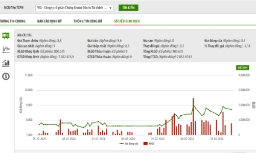 Đang bị cảnh báo, VIG lên kế hoạch chào bán riêng lẻ 50 triệu cổ phiếu với giá 10.000 đồng