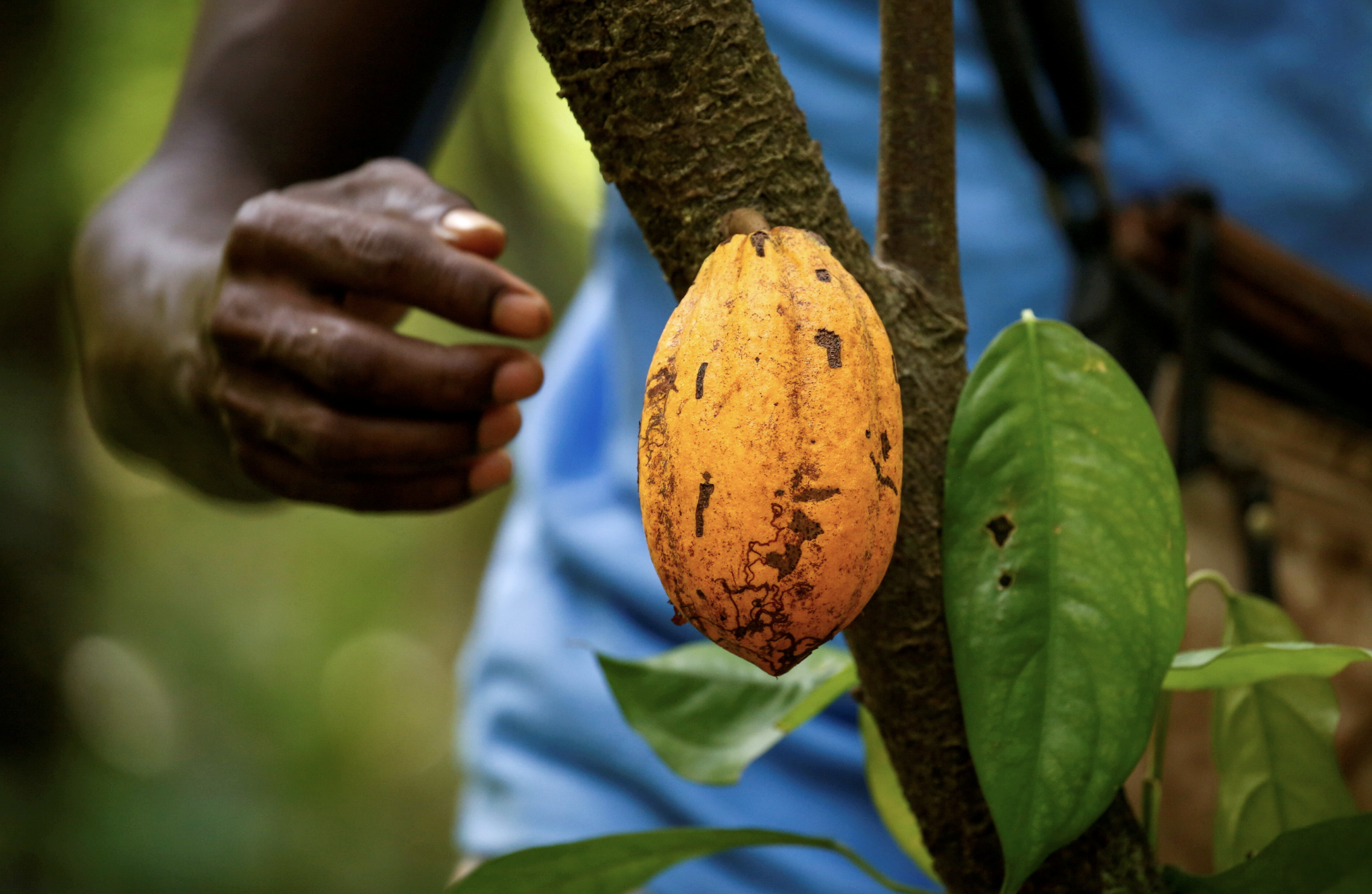 Ảnh minh hoạ - Ảnh: Reuters.