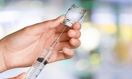 Bệnh dại tại Việt Nam diễn biến phức tạp, số ca bệnh tăng đột biến vào đầu năm 2024 