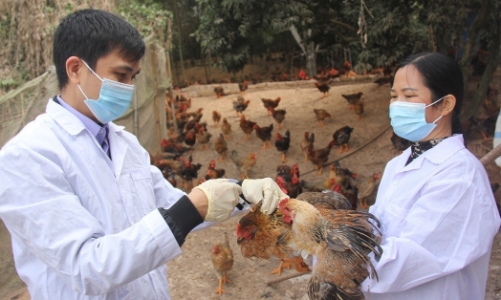 Các bệnh lây nhiễm từ động vật sang người có xu hướng gia tăng, khó kiểm soát