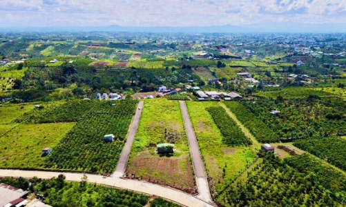 Lâm Đồng có 4.143 giao dịch bất động sản trong quý 1/2024