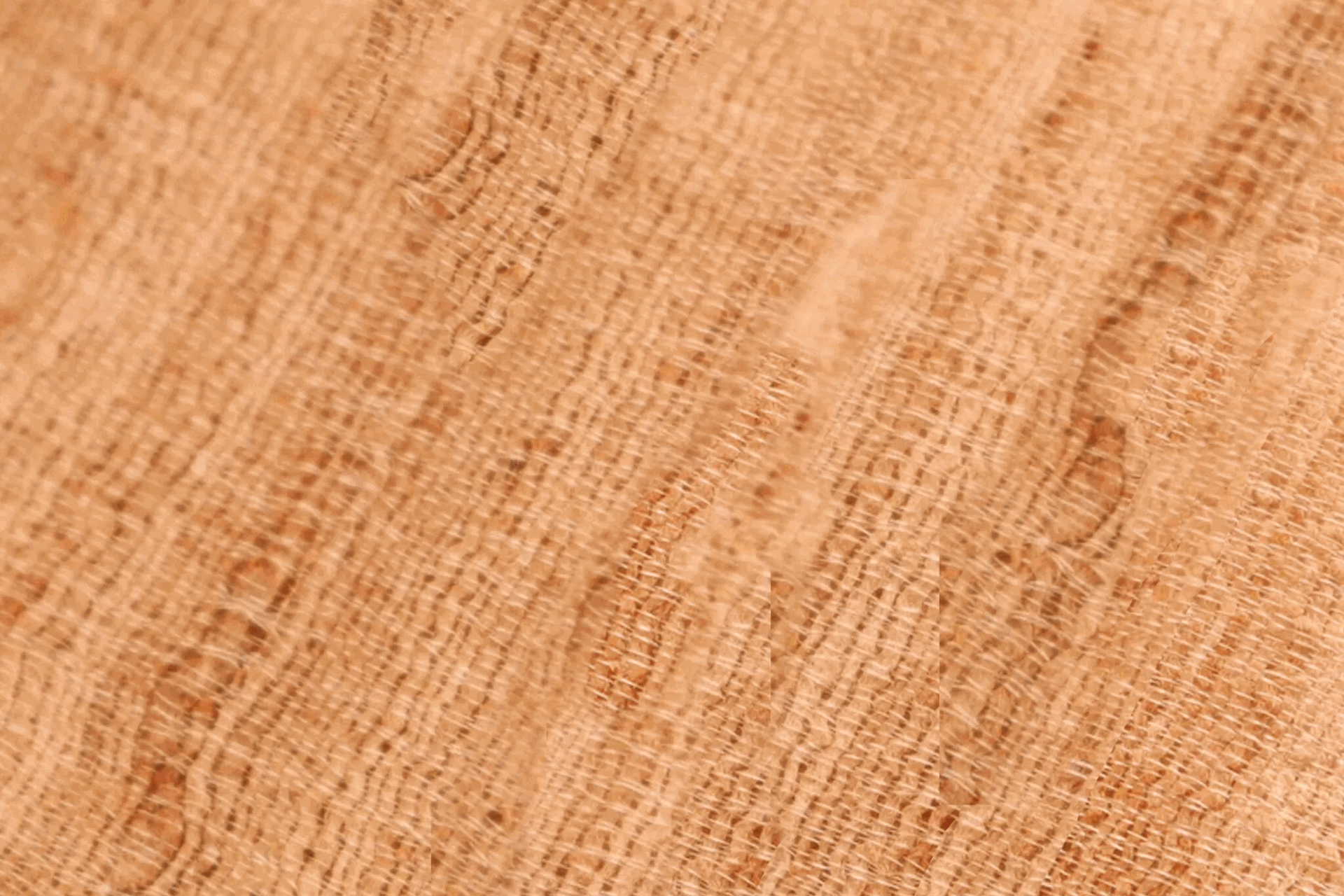 Một loại vải mới được tạo ra từ butterbur - một loại cây đầm lầy châu Á mọc bên cạnh các hồ ở Sandringham.