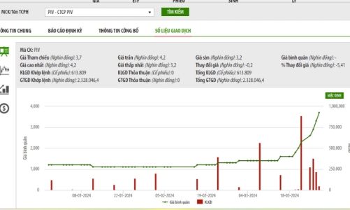 Doanh thu thuần tăng hơn 27 lần, PIV phải giải trình cổ phiếu tăng trần liên tục