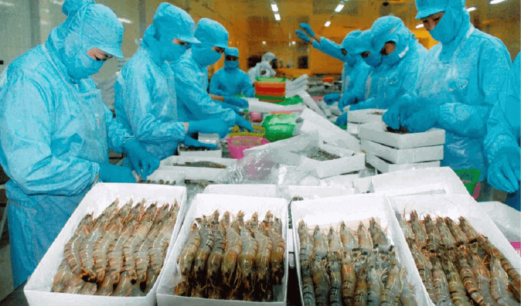 Hoa Kỳ ban hành Kết luận sơ bộ trong vụ việc điều tra chống trợ cấp đối với tôm nước ấm đông lạnh từ Việt Nam. Ảnh minh họa.